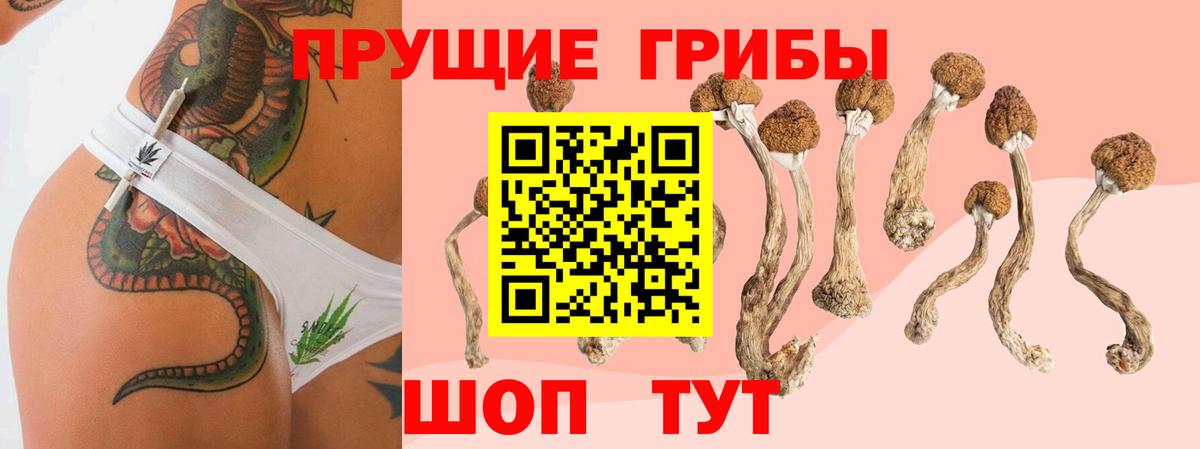 купить наркотики сайты  Вход с VPN  Ессентуки  Галлюциногенные грибы MAGIC MUSHROOMS 